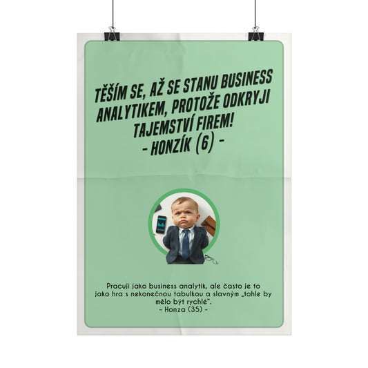 Plakát A3 pro business analytika - Analytikovo profesní vystřízlivění