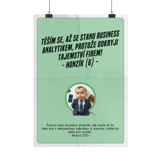 Plakát A3 pro business analytika - Analytikovo profesní vystřízlivění