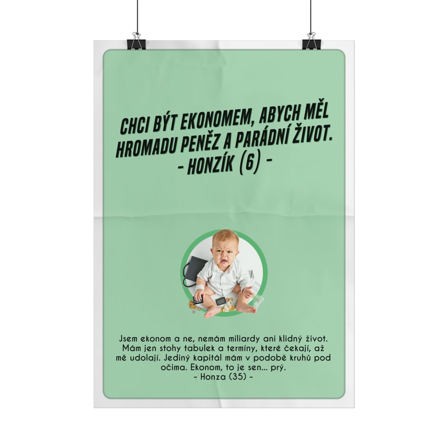 Plakát A3 pro ekonoma - Ekonomovo profesní rozčarování